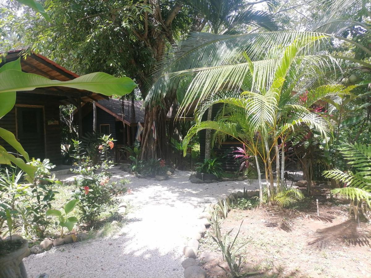 Casa El Colibri Bed & Breakfast Parrita Ngoại thất bức ảnh