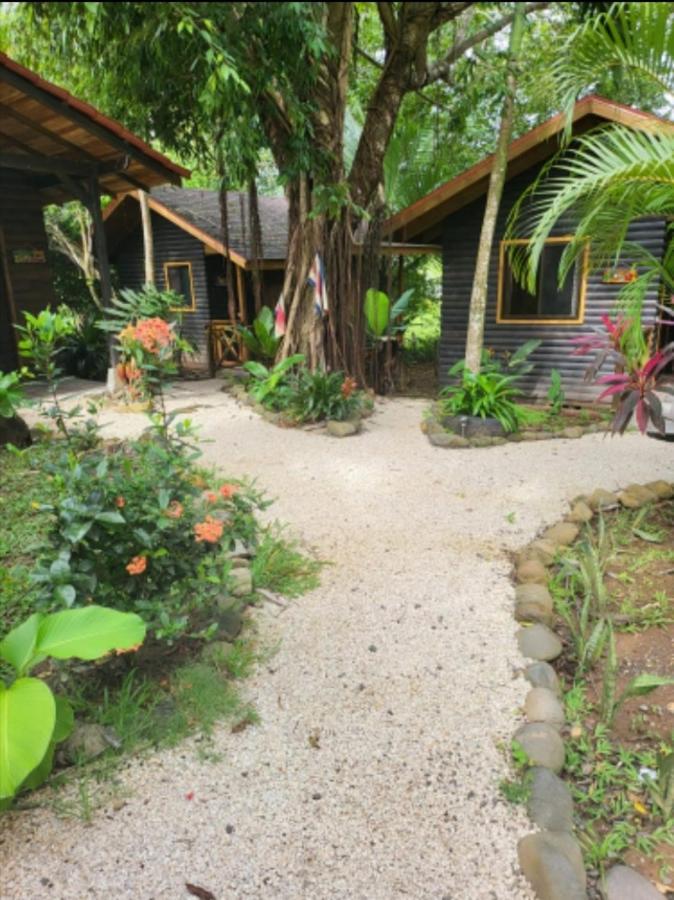 Casa El Colibri Bed & Breakfast Parrita Ngoại thất bức ảnh