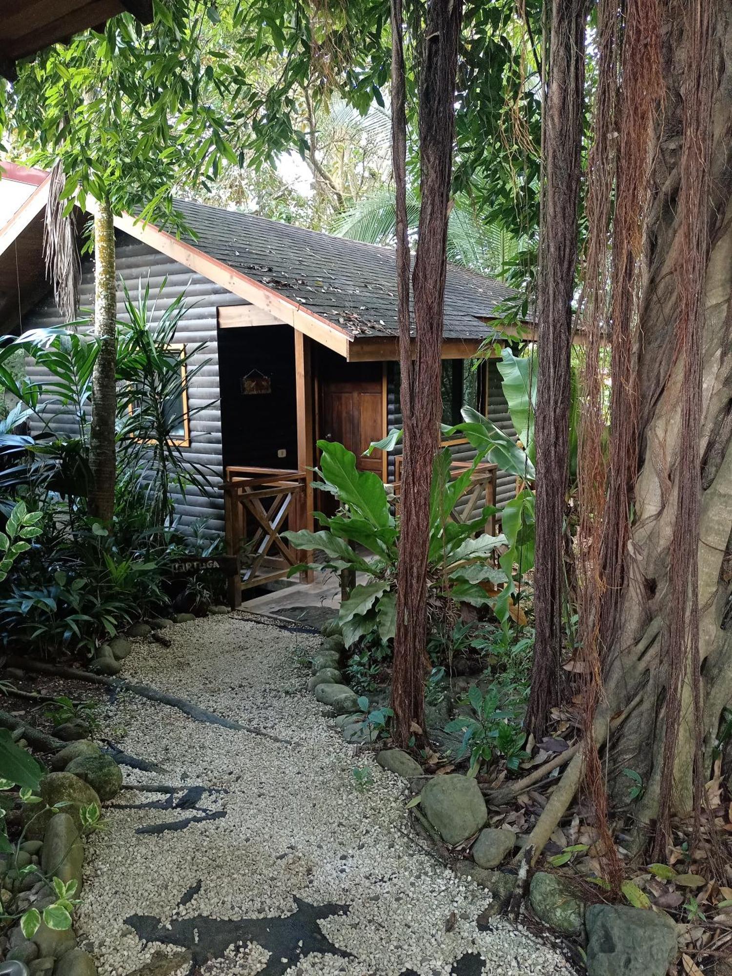 Casa El Colibri Bed & Breakfast Parrita Ngoại thất bức ảnh